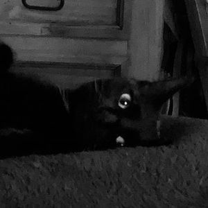 Meet your Posher, Kimberly